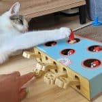 zabawka dla kota Skaczace Chomiki - główne zdjęcie