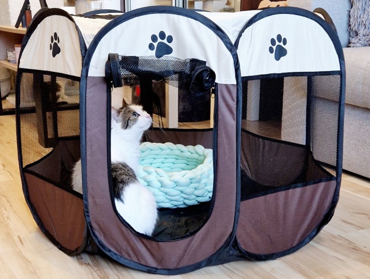 Namiot dla kota